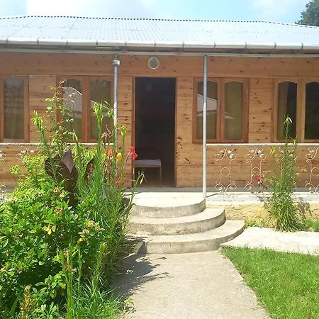 Green Villa Ckaltubo Zewnętrze zdjęcie