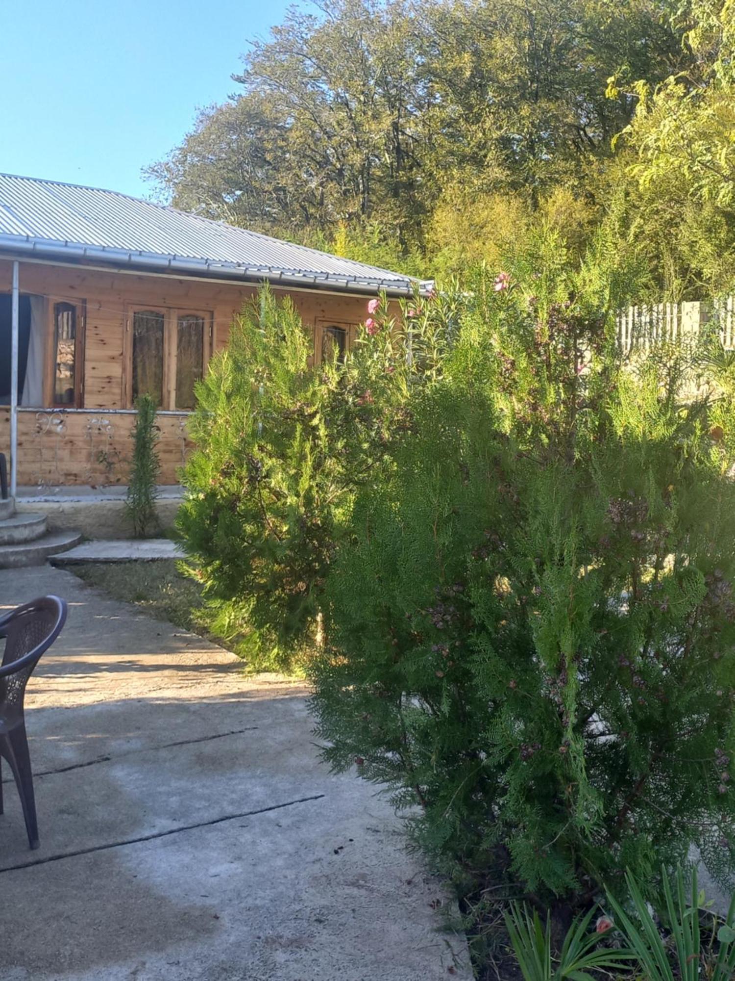 Green Villa Ckaltubo Zewnętrze zdjęcie